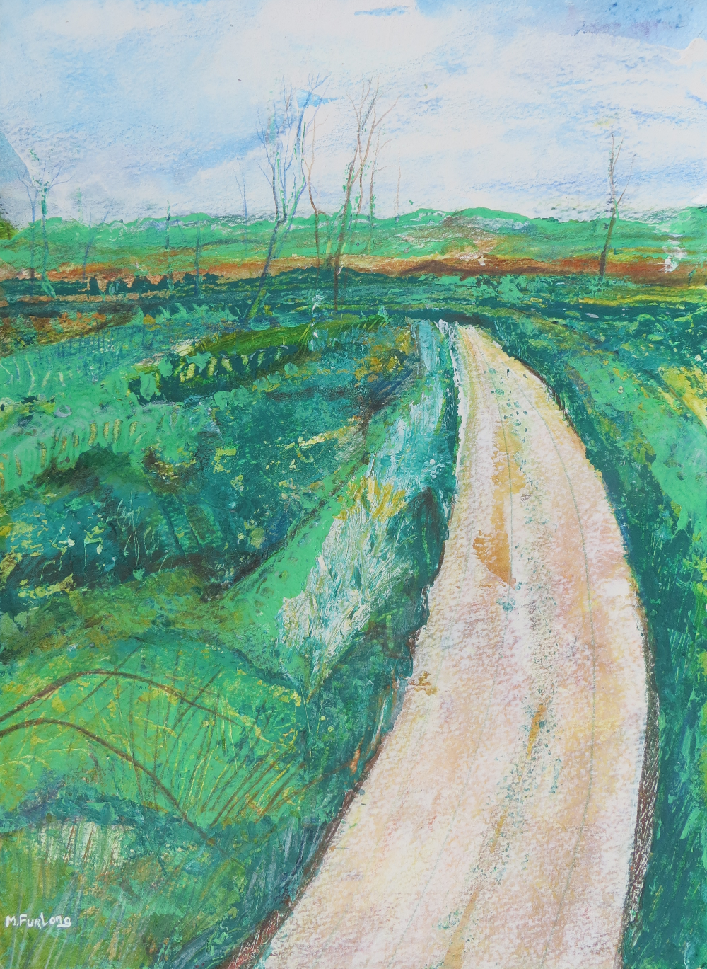 Pathway in green Irish landscape